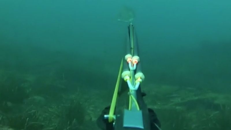 Çanakkale'de 27 kiloluk dev akya avlandı