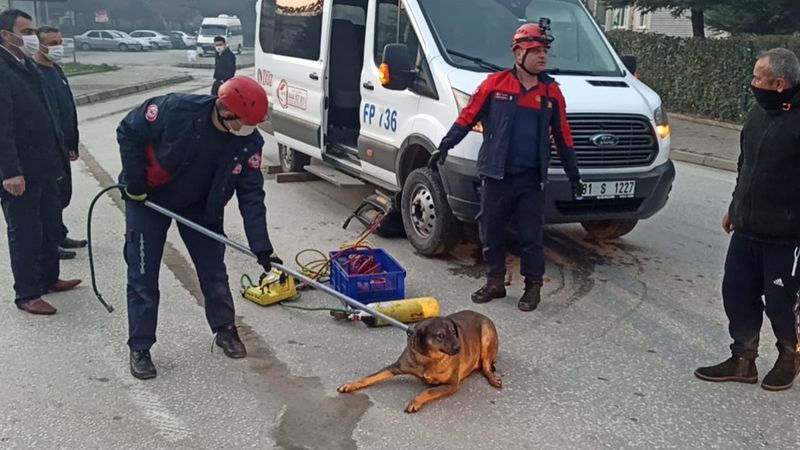 Düzce'de itfaiye, köpek kurtardı