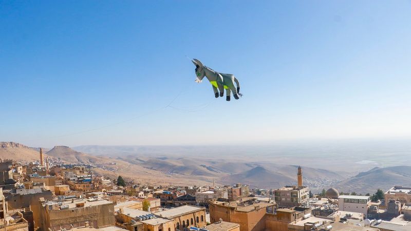 Mardin'de 'kadrolu eşek' uçurtması uçurdular