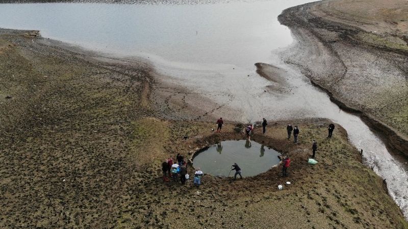 Ömerli Barajı’nda balık kurtarma operasyonu