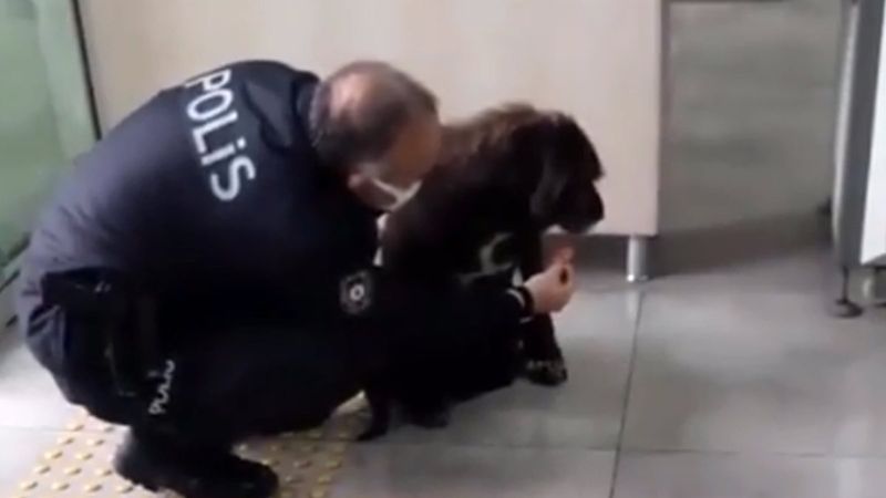 Antalya'da yağmurda ıslanan köpeğe polis şefkati