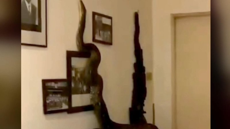 Tayland’da 3.5 metrelik dev piton eve girdi