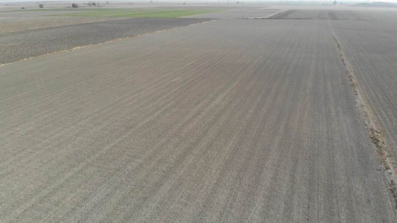 Konya Ovası kuraklıkla mücadele veriyor