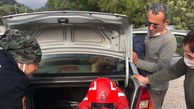 Muğla'da başı hoparlör boşluğuna sıkışan köpek kurtarıldı
