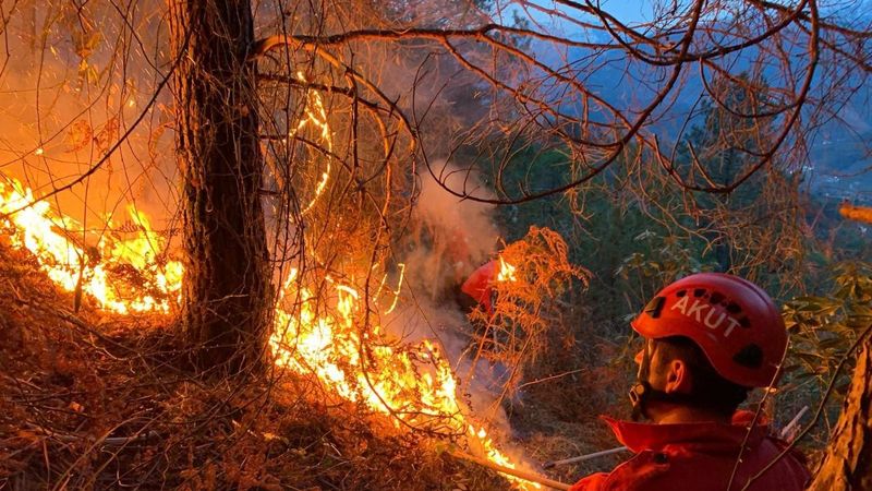 Rize'de araziyi temizlemek isterken yangın çıkardı