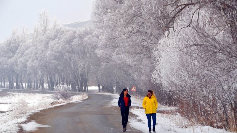 Muş'ta kırağı, güzel kareler oluşturdu