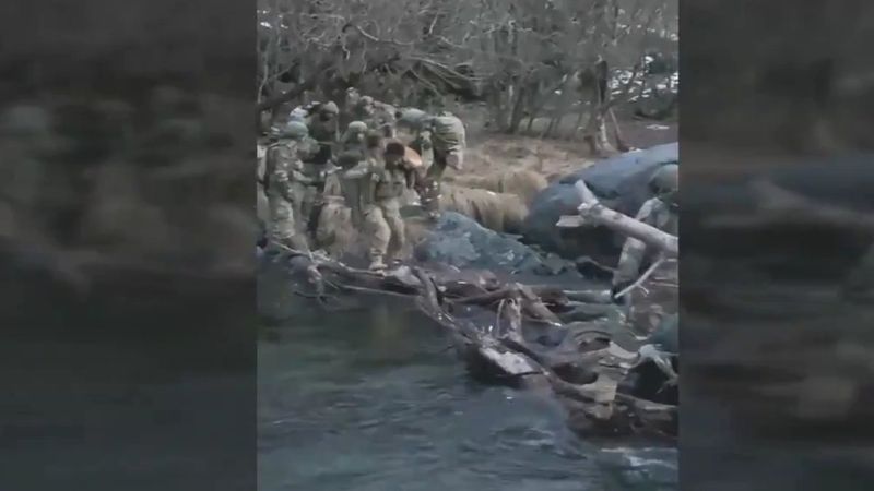 Hakurk'taki Mehmetçik, köpeğin nehri geçmesine yardımcı oldu