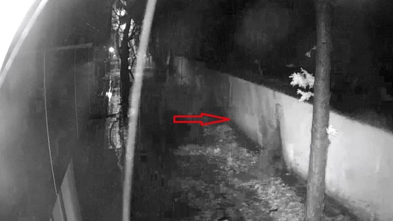 Manisa’da sel felaketinin şiddeti kamerada