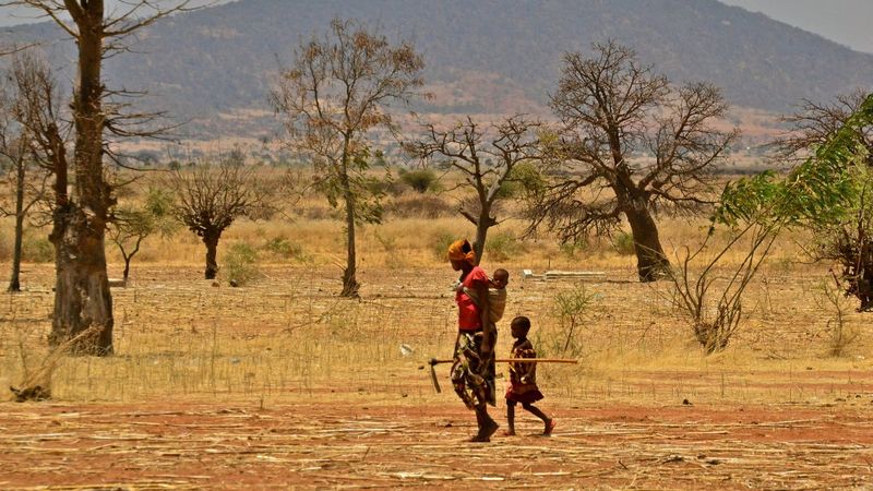 İklim değişikliği, çocukların besin çeşitliliğini azaltıyor