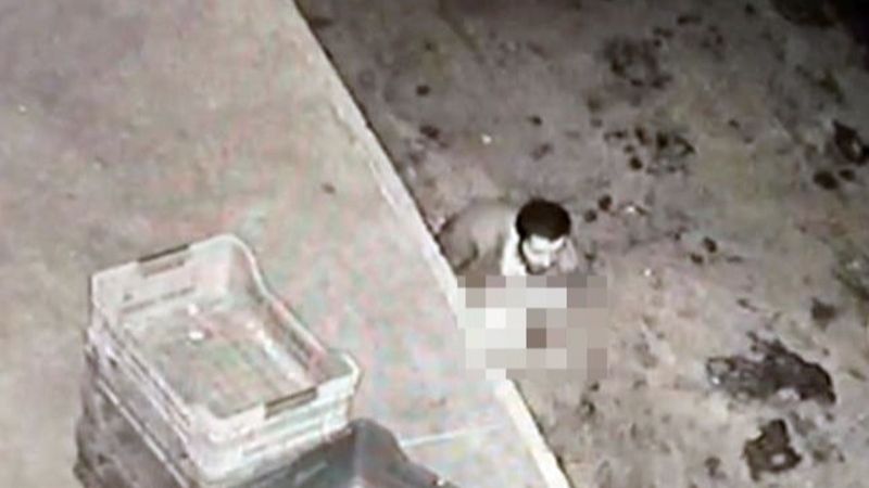 Sakarya'da yabancı uyruklu bir kişi köpeği taciz etti