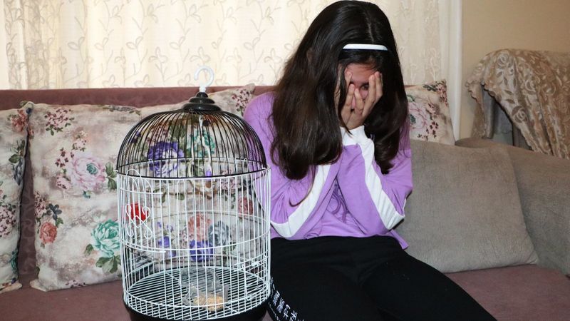 Adana'da kuşu kaybolunca, yemeden içmeden kesildi