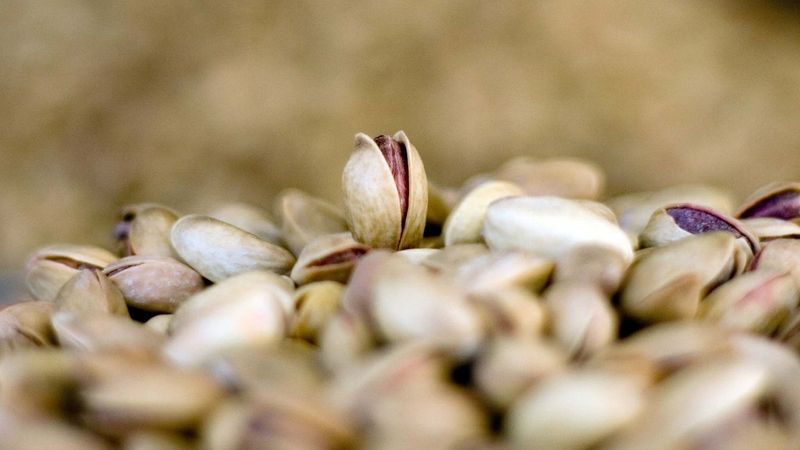 Gaziantep'ten çıkan fıstık fiyatlarında yüzde 200 artış bekleniyor
