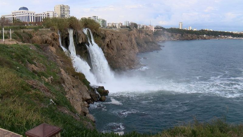 Düden Şelalesi'ndeki ölü balık yığınları, martılara yem oldu