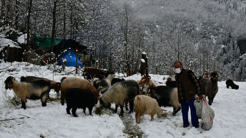 Artvinli yaylacıların kar altında köye dönüş yolu