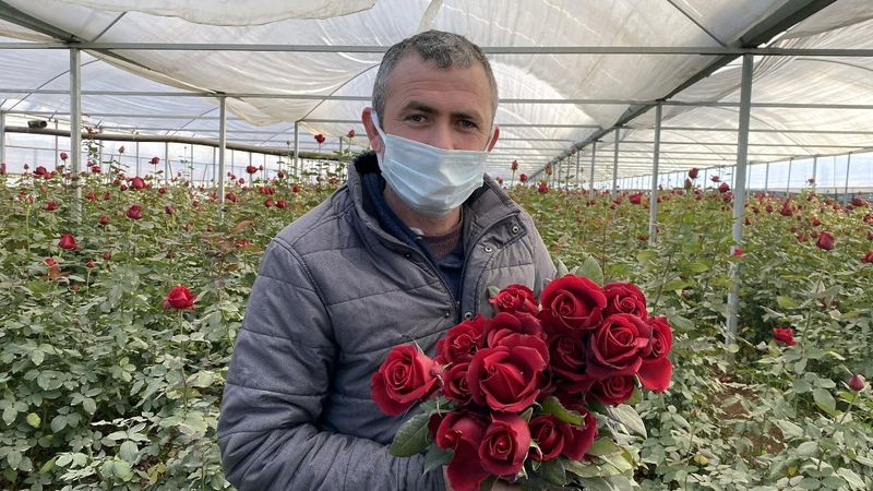 İzmir'de dona karşı soba ile gül nöbeti tutuluyor