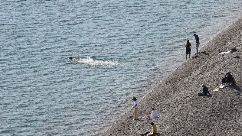 Antalya'da ocak ayında denizin tadını çıkardılar