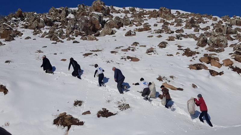 Yaban hayvanları için Süphan Dağı eteklerine yem bıraktılar