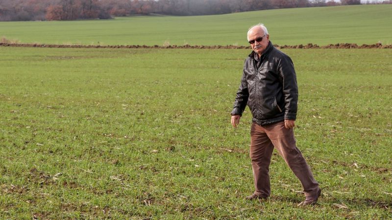 Trakya'da yağan kar, Edirne'de çimlenmeyi hızlandırdı