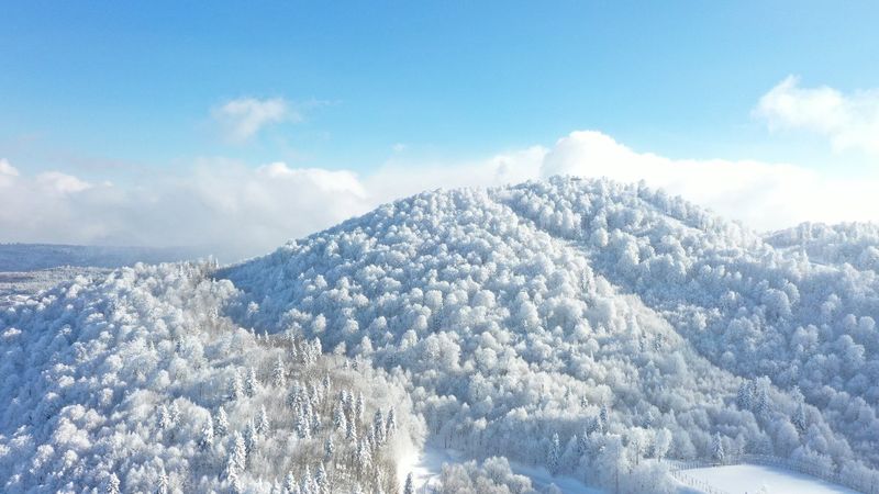 Kartepe havadan görüntülendi