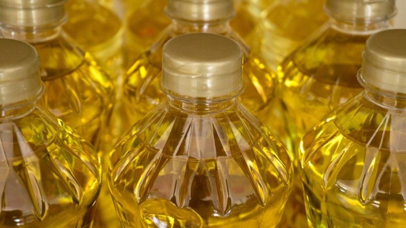 Kanola yağı nedir? Kanola yağı faydalı mı, zararlı mı? Ayçiçek yerine Kanola yağı nasıl kullanılır?