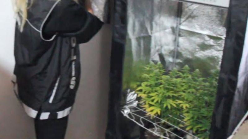 İzmir'de özel düzeneklerle uyuşturucu yetiştirenlere polis baskını