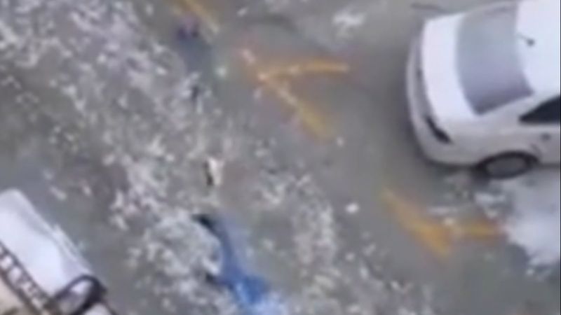 Çin'de evden çıkamayan adamın ilginç köpek gezdirme yöntemi