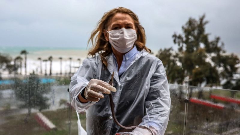 Antalya'da, sahile 60 metre uzaklıktaki dairesinin balkonunda balık buldu