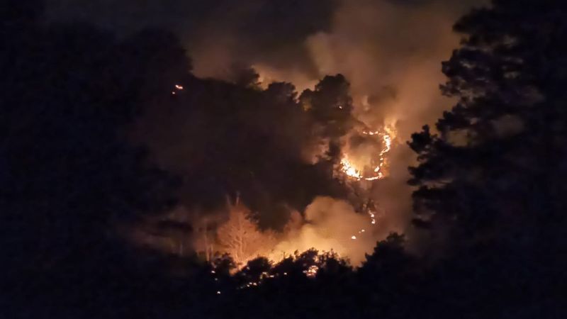 Trabzon'da örtü yangınları