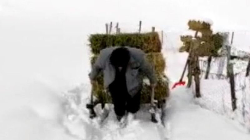 Bingöl'de besicilerin kış mücadelesi