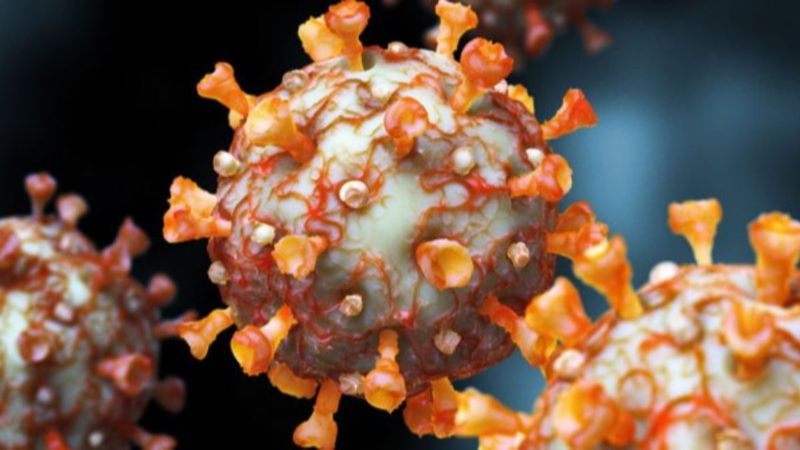 Mutant virüs belirtileri nelerdir? Mutasyonlu koronavirüs hangi illerde, kaç kişide görüldü?