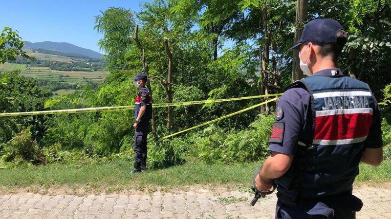 Zonguldak'ta budanan ağaç için kardeşini öldürdü