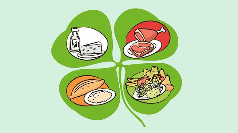 Günlük beslenmede dört yapraklı yonca modelini kullanın