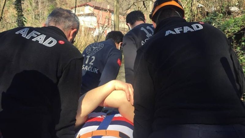 Zonguldak'ta kestiği ağacın altında kaldı