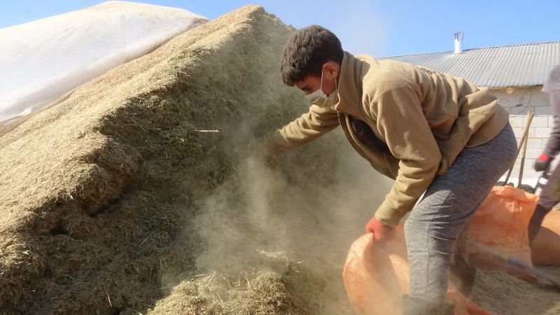 Hakkari'de besiciler, kış mevsiminde zorluk çekiyor