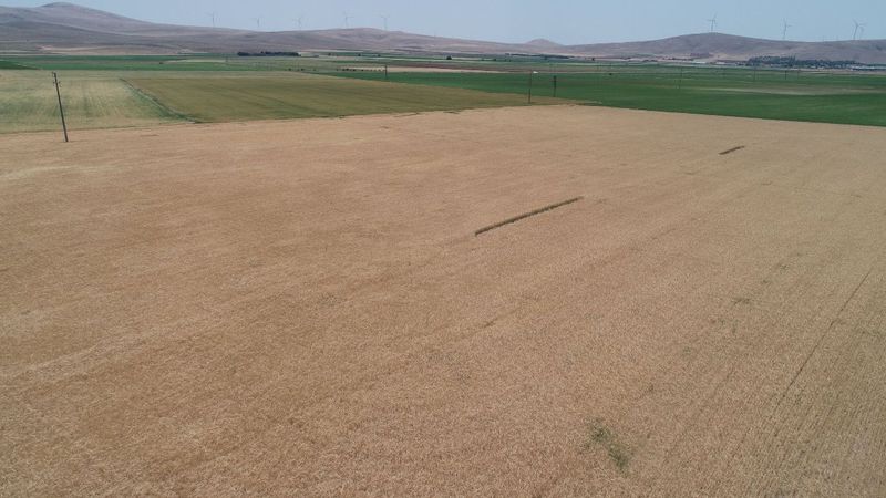 Konya Havzası'nda yer altı suyu tehlikesi