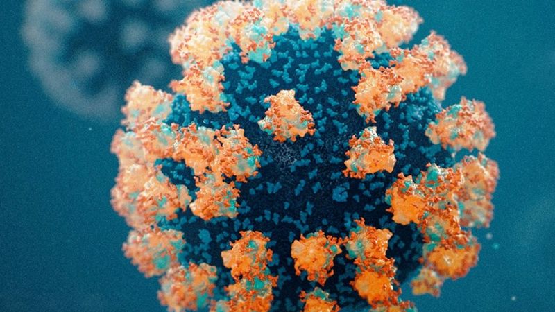 Koronavirüste görülen diken proteini nedir? Diken proteini beyni nasıl etkiler?