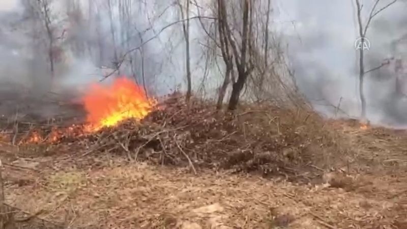 İstanbul'da orman yangını