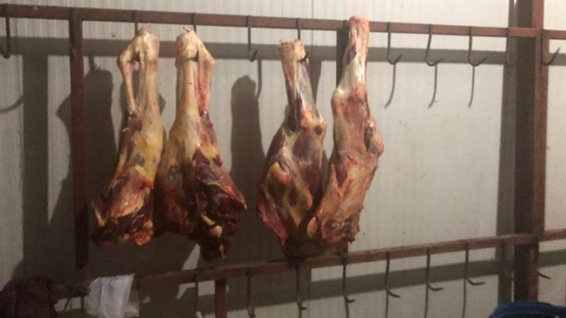 Malatya'da yem fabrikasında ruhsatsız et üretimine baskın