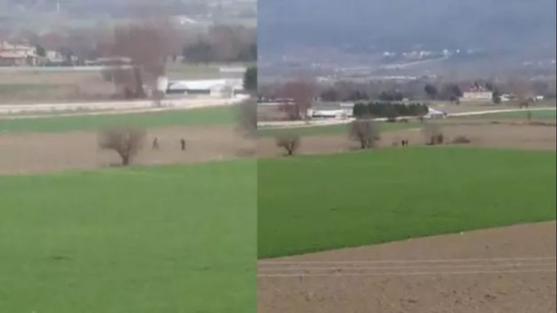 Bolu'da köpeğe tecavüz eden sapığa para cezası