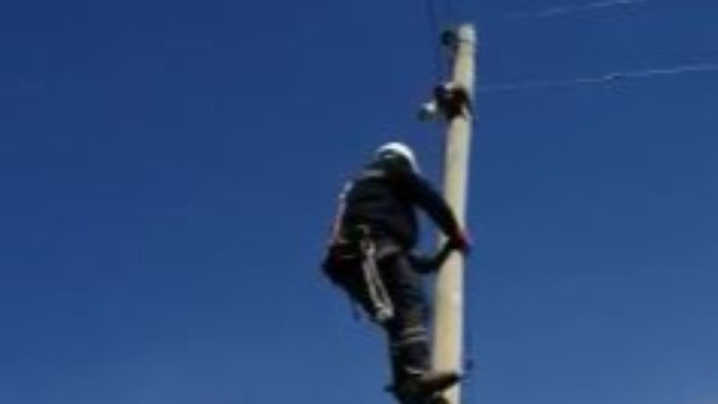 Muş'ta elektrik direğine çıkan kedi mahsur kaldı