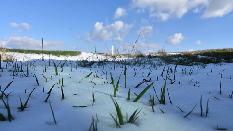 Edirne'de kar yağışı buğday üreticisini sevindirdi