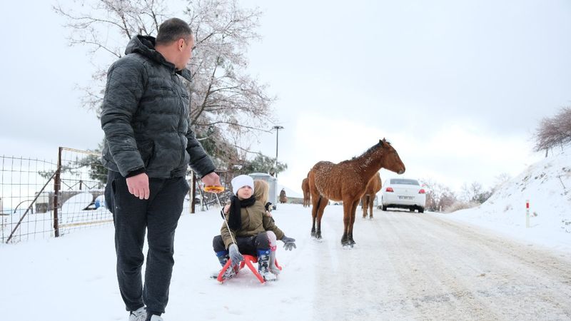 Manisa'da Spil Dağı'na giden minik Kuzey'i, yılkı atı ısırdı