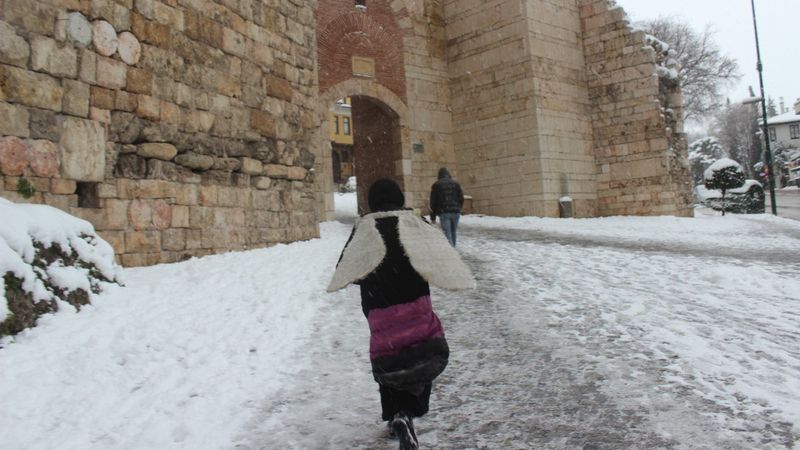 Bursa'da aç hayvanlara dikkat çekmek için arı kılığına girdi