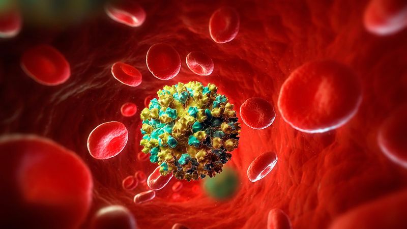 Hepatit C enfeksiyonundan korunmanın 5 Yolu