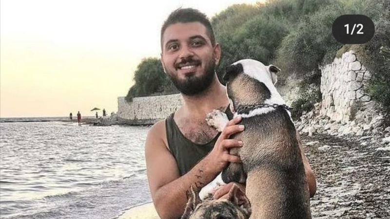 Adana’da sokak köpeğine saldıran pitbullların sahibine ceza