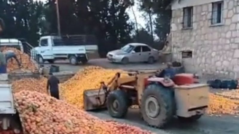 Adana'da çürümüş meyvelerden meyve suyu yapıldığı iddia edildi