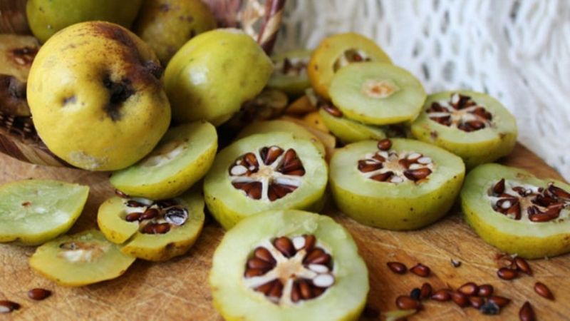 Ayva çekirdeği jeli nasıl yapılır? Ayva çekirdeği jeli faydaları nelerdir, nasıl kullanılır?