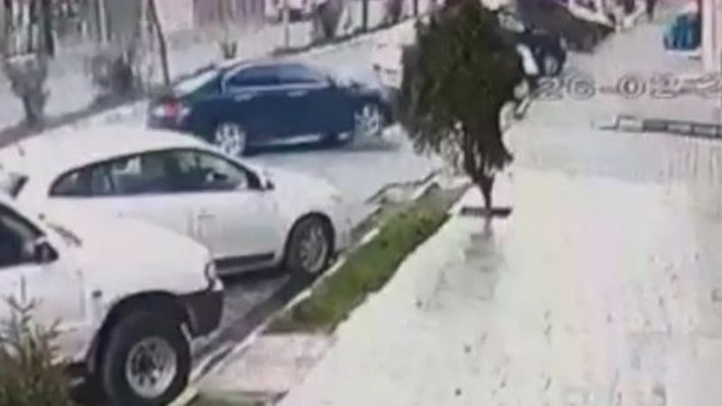 Artvin'de hamile sokak köpeğinin üzerinden arabayla geçti