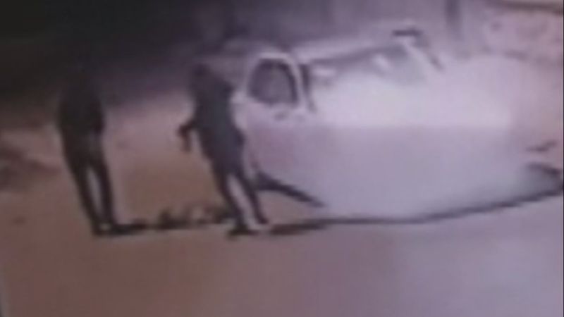 Konya'da 2 kişi sokak köpeğini vurup çöpe attı