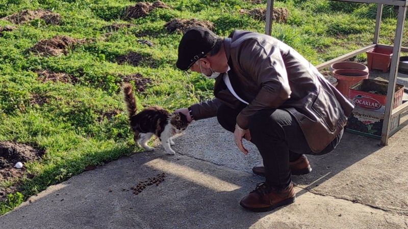 Düzce'de boynundaki lastikle ölmek üzere olan kedi kurtarıldı
